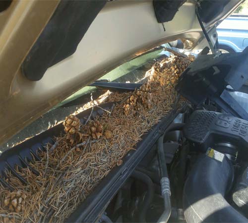 Spear's Automotive Center